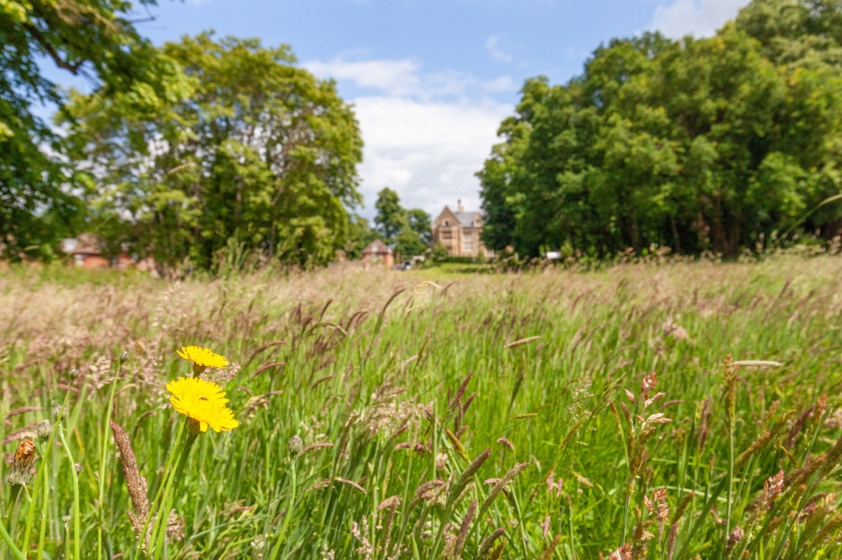 Parklands