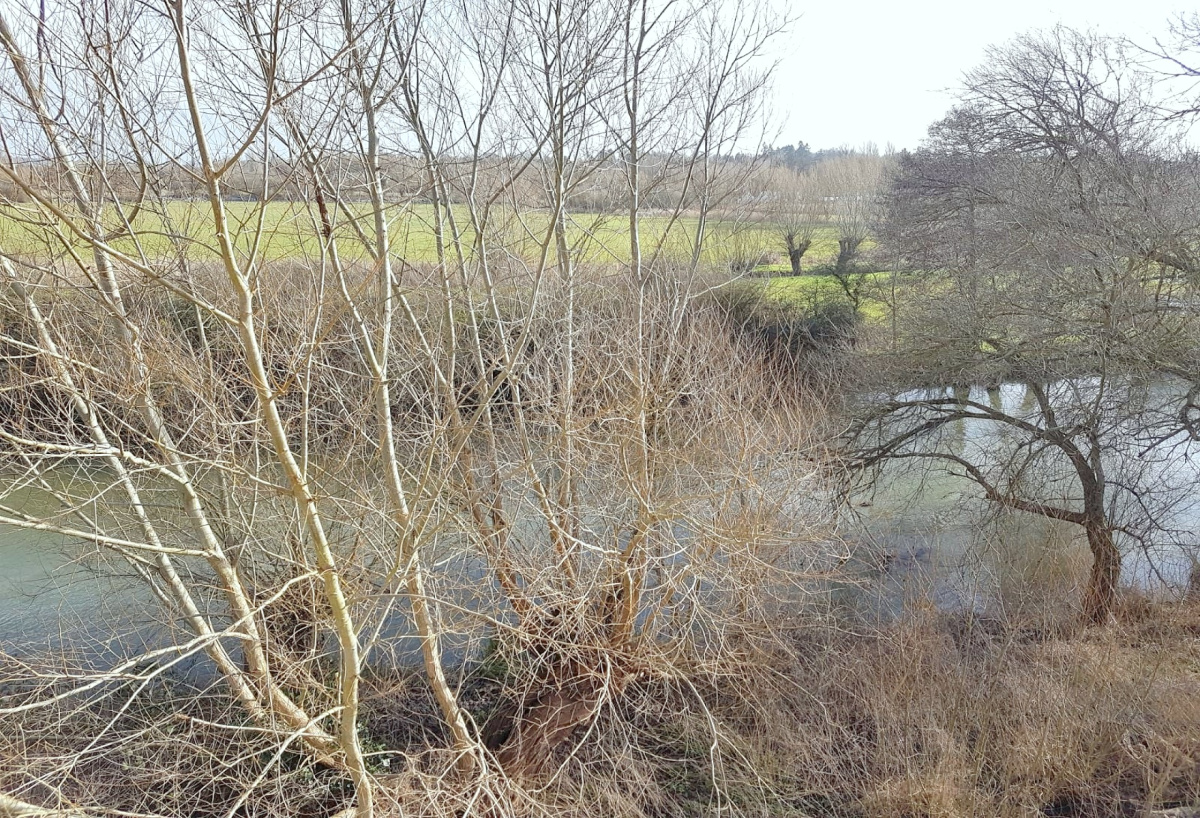 Leander Way