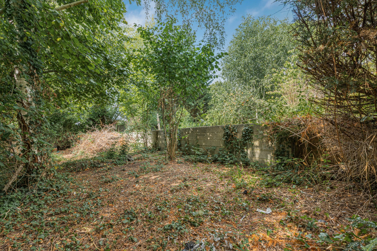 Cricket Road
