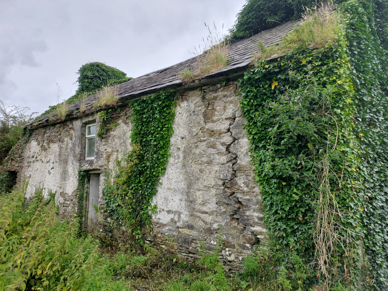 Irish Rural Homes Selling property both in the London housing market