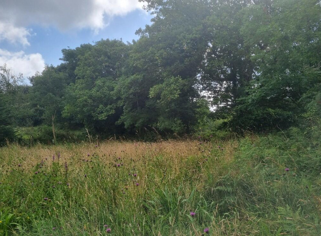 Cappaghhavckee, Castltownbere, Co. Cork BER G