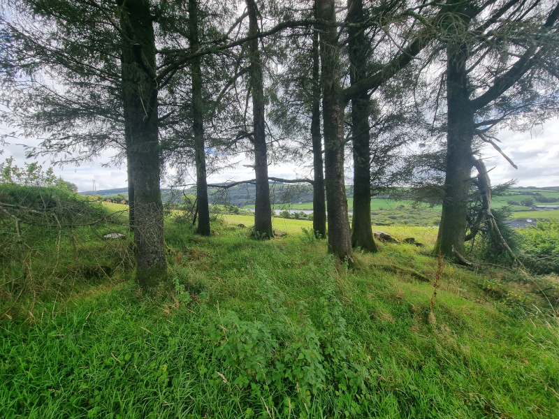 Drinagh West,, Dunmanway