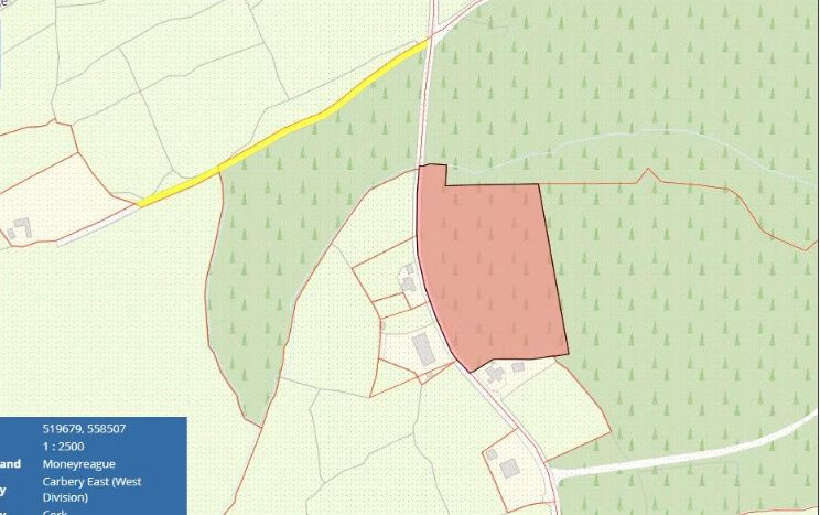 Moneyreague, Dunmanawy, Co. Cork