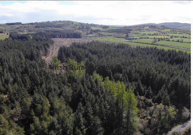 Moneyreague, Dunmanawy, Co. Cork