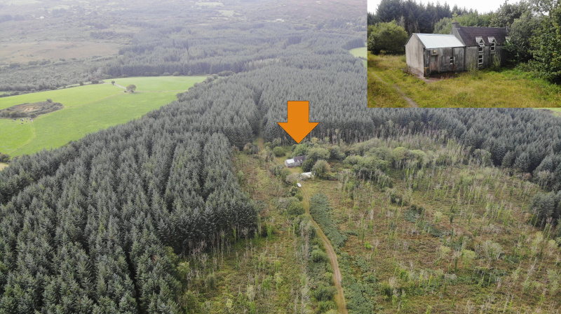 Haremount, Kilmichael, Macroom, P12 H599