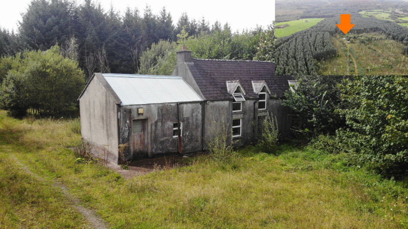 Haremount, Kilmichael, Macroom, P12 H599