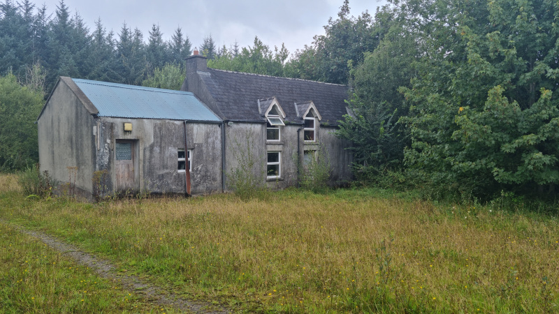 Haremount, Kilmichael, Macroom, P12 H599