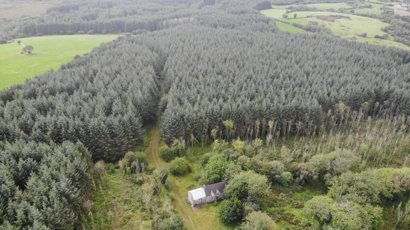 Haremount, Kilmichael, Macroom, P12 H599