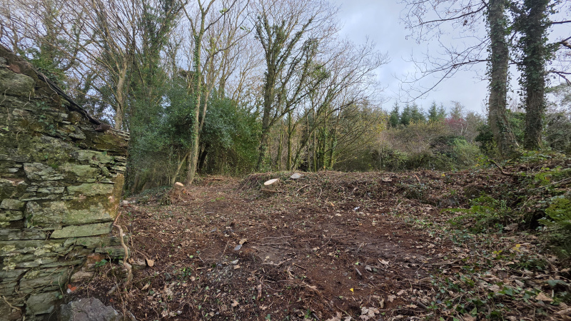 Kilnahera East, Drimoleague