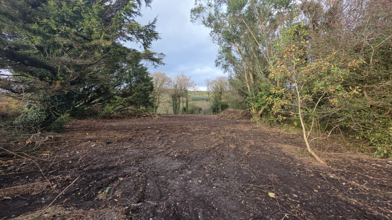 Kilnahera East, Drimoleague